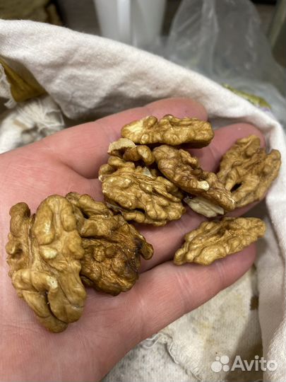 Грецкий орех