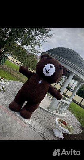 Мишка Тедди