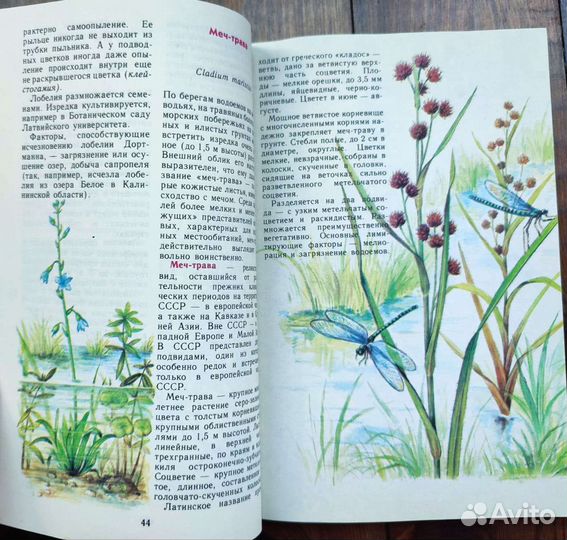 Ботанические книги, растения красной книги