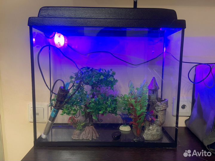 Аквариум