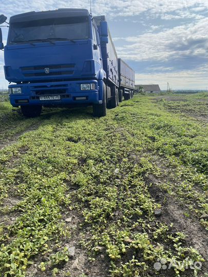 КамАЗ 65117, 2012