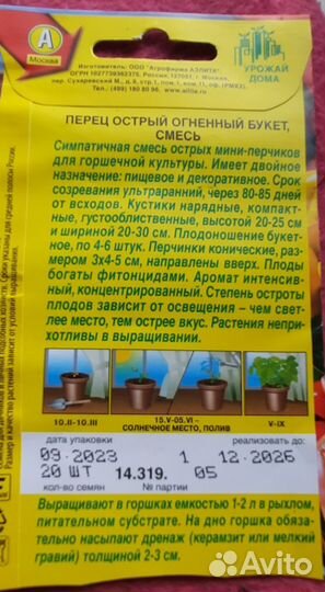 Рассада помидор и перцев горшечных