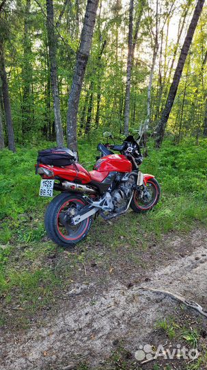 Honda cb600 Hornet 1998г