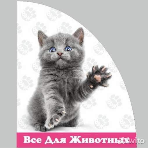 Продавец в зоомагазин 