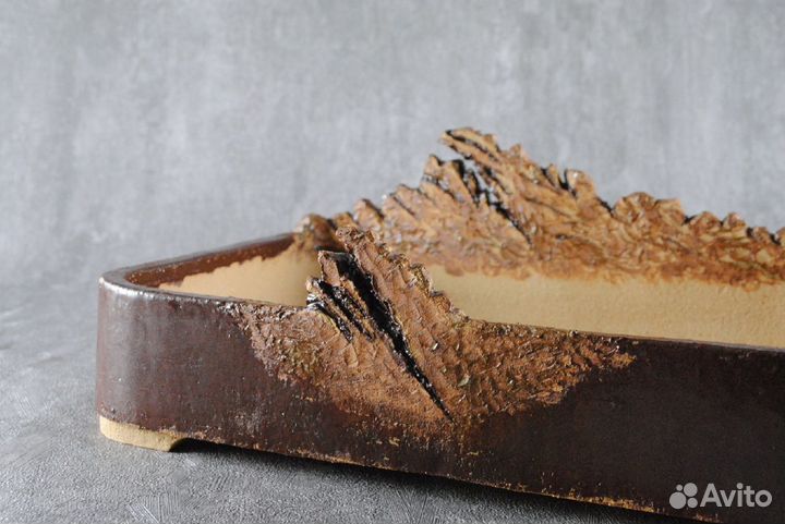 Горшок для бонсай