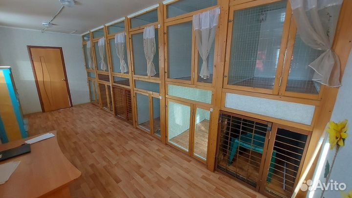 Передержка, зоогостиница