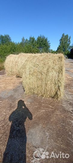 Сено в рулонах с доставкой