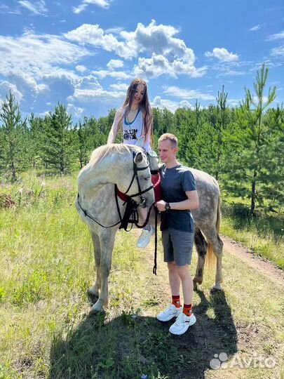 Конные прогулки, занятия