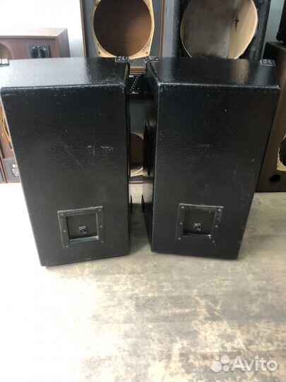 Концертные колонки 300вт 15дюймов
