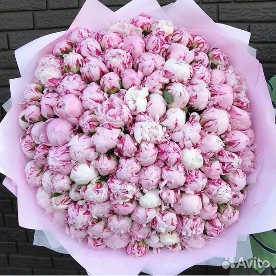 Пионы букеты цветы