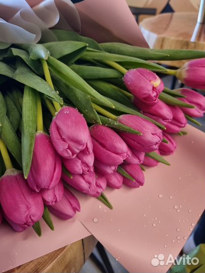 Тюльпаны к 8 марта розница