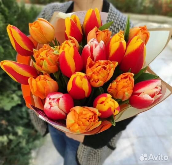 Тюльпаны Розы Цветы Букеты 25 51 101 151 201