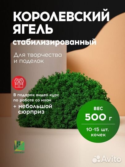 Мох стабилизированный оптом и в розницу