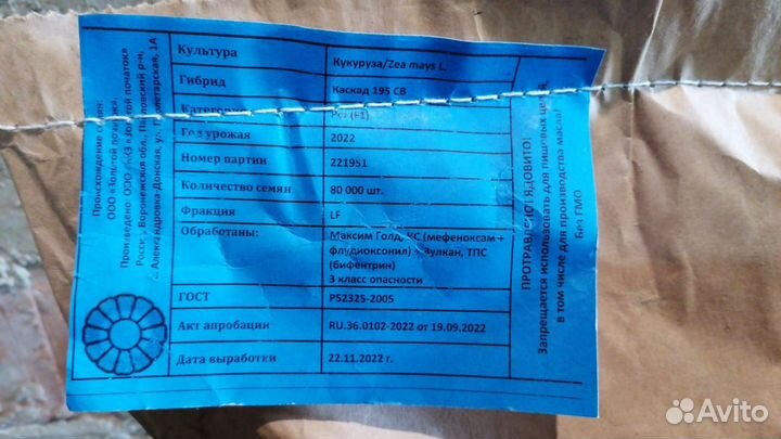 Семена кукурузы