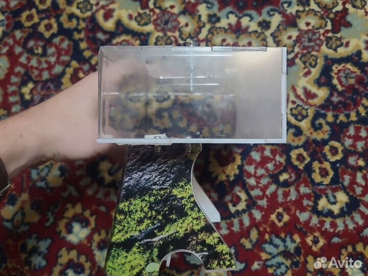 Формикарий для муравьев