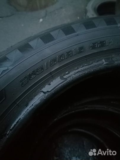 Dunlop Enasave RV504 205/60 R16 92H