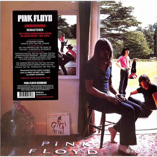 Pink floyd - Ummagumma