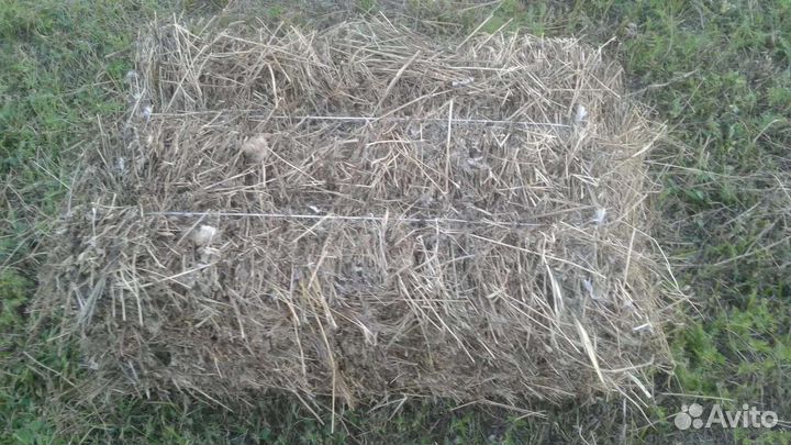 Сено в тюках