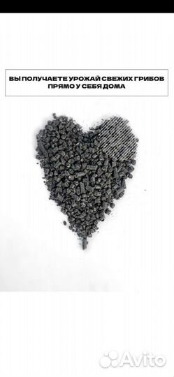 Субстрат для выращивания грибов