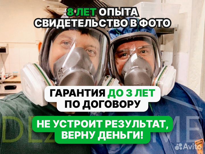 Дезинфекция / Уничтожение тараканов, клопов, мышей