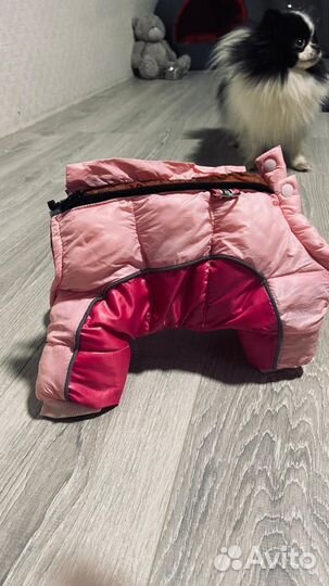 Зимний комбинезон для малких пород