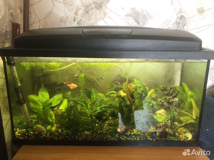 Аквариум