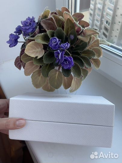 Оригинальная коробка Prada