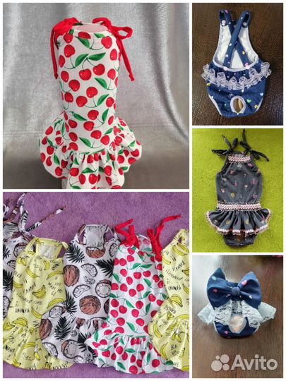 Одежда для собак