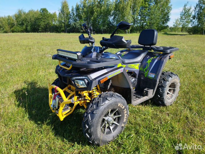 Motoland wild track 200