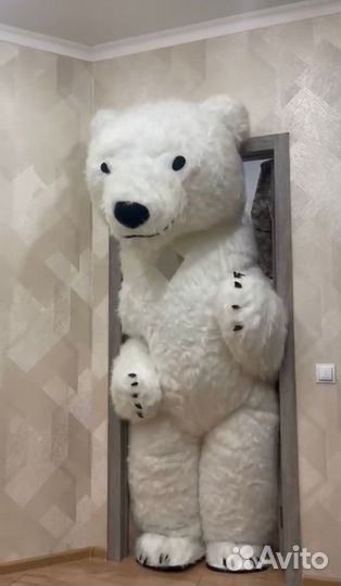 Поздравление от Белого Медведя