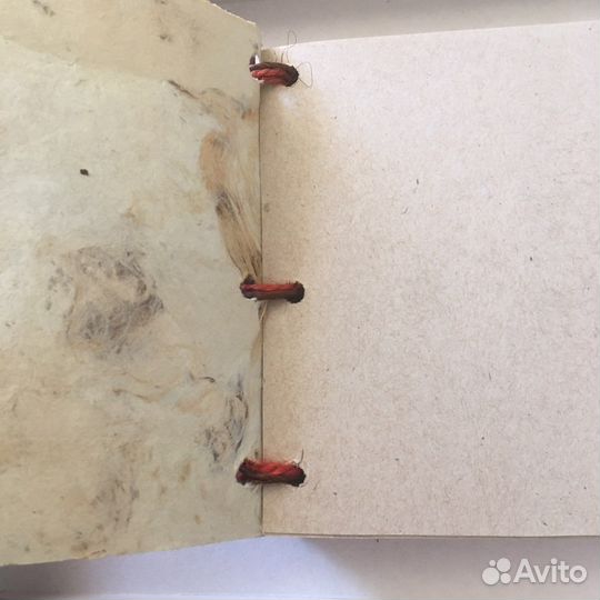 Блокнот Frida Calo (Фрида Кало)