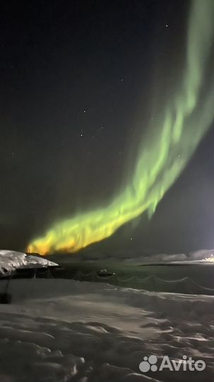 Териберка тур 2 ночи+экскурсия Мурманск