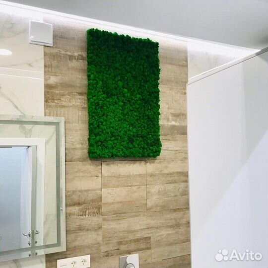 Картины из мха (фитопанели)