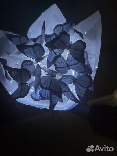 Букет из бабочек