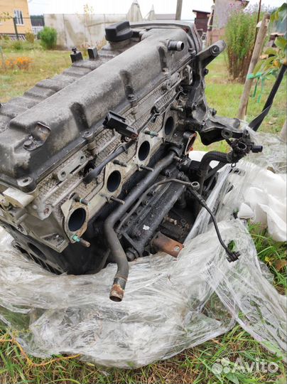 Двигатель d4cb