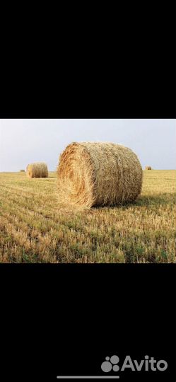 Солома в тюках самовывоз