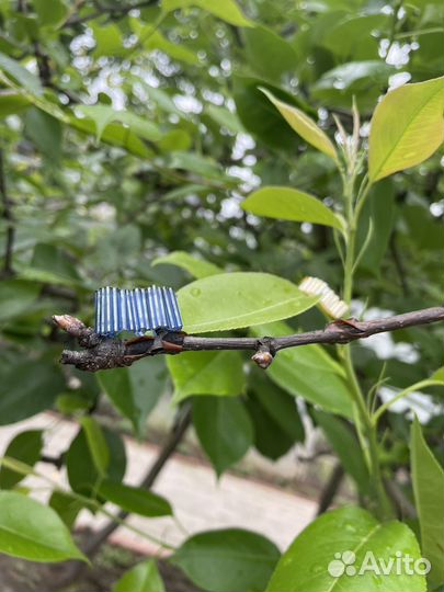 Украшения из бисера