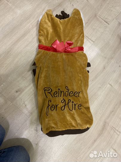 Одежда для собаки (носил француз)