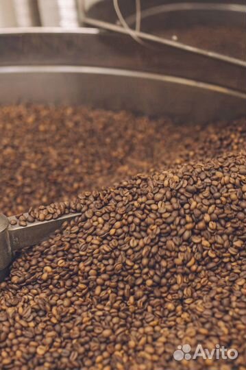 Кофе свежей обжарки зерно/молотый оптом
