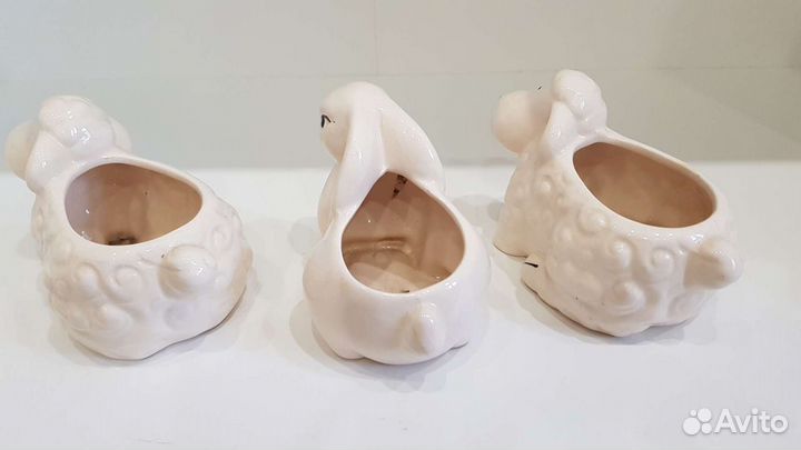 Горшок для кактусов