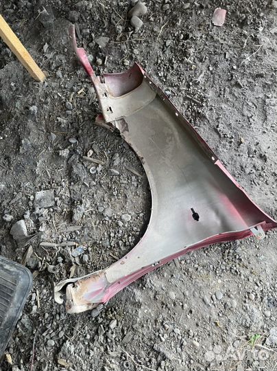 Калина корыло