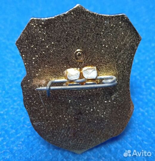 Значок СССР. Дружинник