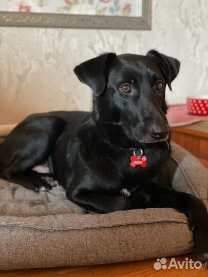 Мартюшечка ищет родителей