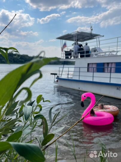 Отдых и прогулки аренда катер/яхта/корабль