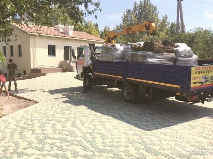 Рулонный газон 