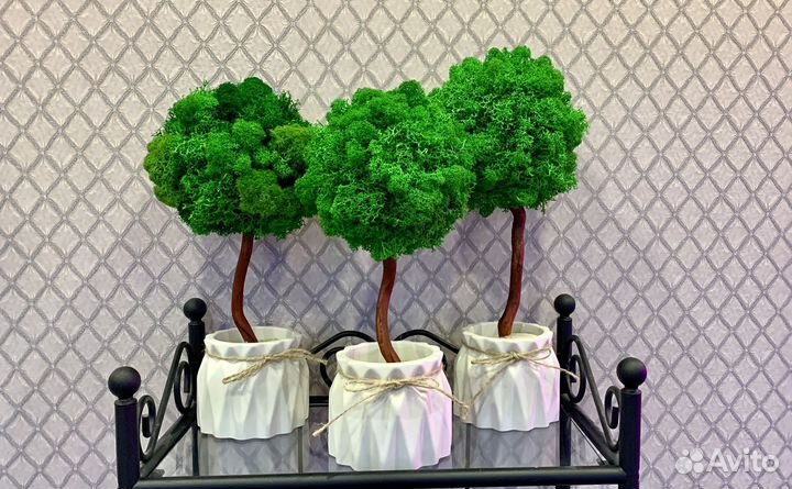 Дерево из стабилизированного мха