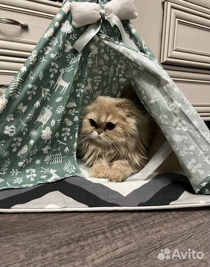 Домик для кошек или маленьких собачек