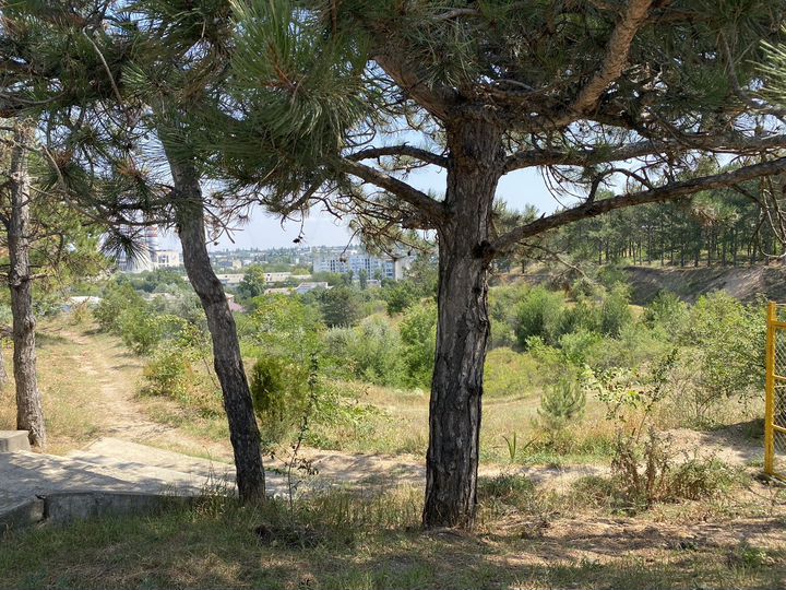 Участок 6,3 сот. (СНТ, ДНП)