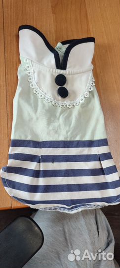 Платье для Тойчика или Чихуа