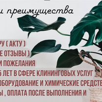 Клининг Уборка квартир, домов Мытье окон Химчистка, Брянск